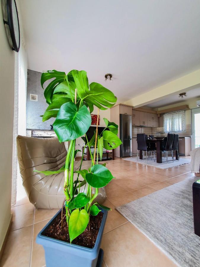 Olympian Two Floor Apartment 렙토카리아 외부 사진